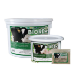BIOREM