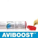 AVIBOOST AQUA BLOCK 1KG