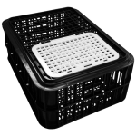 LIVE BIRD CRATE BLACK