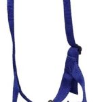 HALTER FOAL BABY SLIP