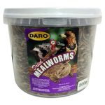 DRIED MEALWORMS - Image 2