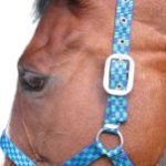 HALTER EVERSTRETCH + CLIP