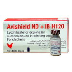 AVISHIELD LA SOTA+IB H120 1000D