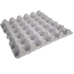 EGG TRAY