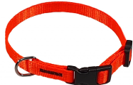 COLLAR NYLON NEON ORANGE
