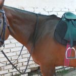 SADDLE STARTER KIT(COMPLETE)