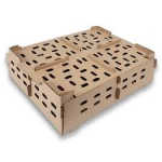 CHICKEN BOX - 20 BUNDLE