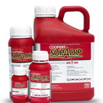 SUPADIP