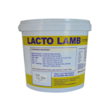 LACTO LAMB