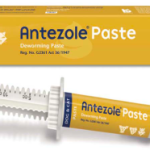 ANTEZOLE PASTE 15ML