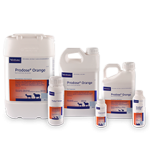 PRODOSE ORANGE