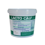 LACTO CALF