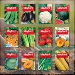 VEGETABLE SEED EACH